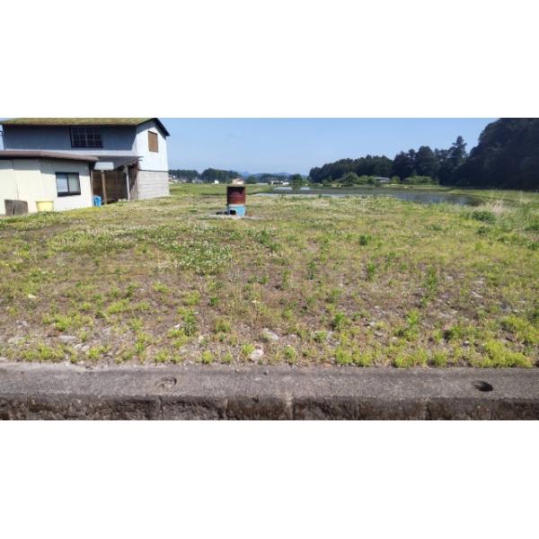 栃木県日光市森友