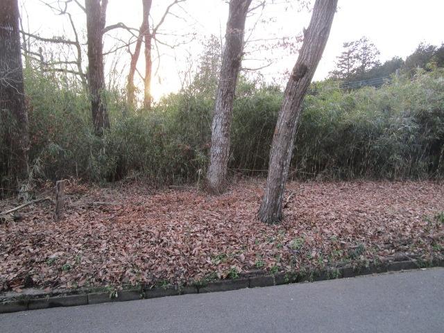 土地2