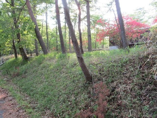 所野売地 土地