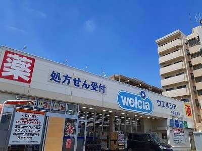 サン・シード その他