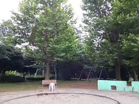 Ｇｒａｎｄ　Ｃａｌｉｃｅ　（グランカリス） 部屋画像