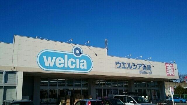 ネオフルールＡ その他