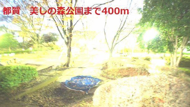 クロスロード　プラス　Ｙ その他
