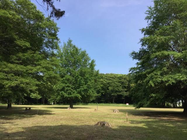 カーサみつわ台H 部屋画像
