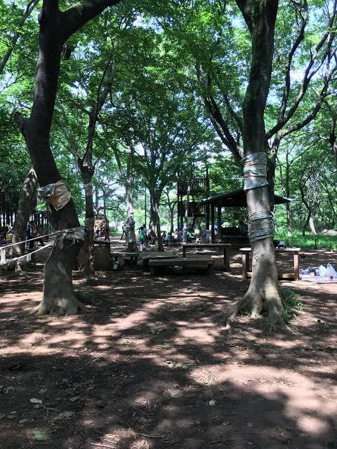 第二アイドル 部屋画像