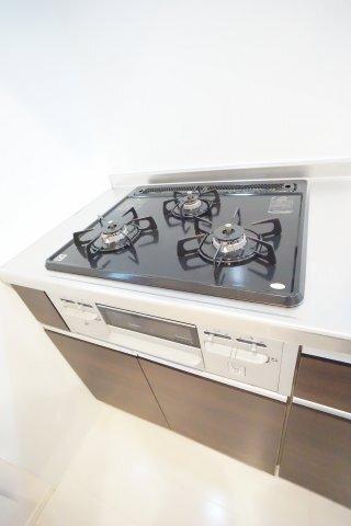 バードネイチャーC棟 キッチン