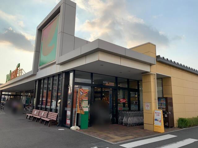 グリーンビラ 部屋画像