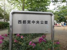 ヴィレッヂ若葉 部屋画像