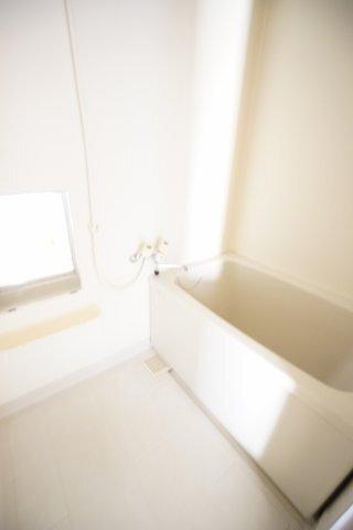 ニューシティ若葉 部屋画像