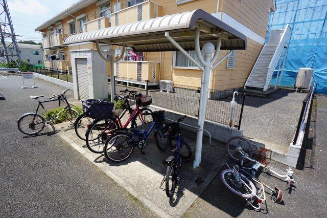 ニューシティ若葉 部屋画像