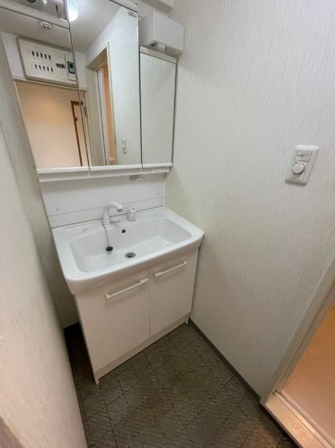 ワコーレ越谷 洗面