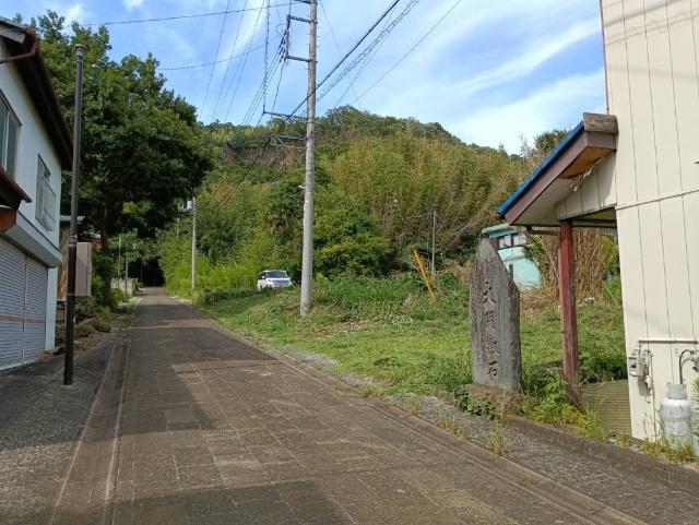 栃木市岩舟町静　売地 前面道路含む現地写真
