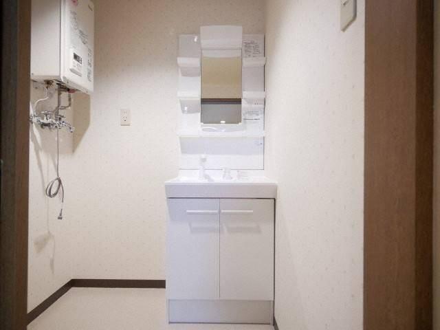 コンチネンタル山の手ＶＩＩ（306） 洗面