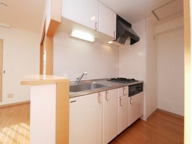スカイパレス北１条（601） キッチン