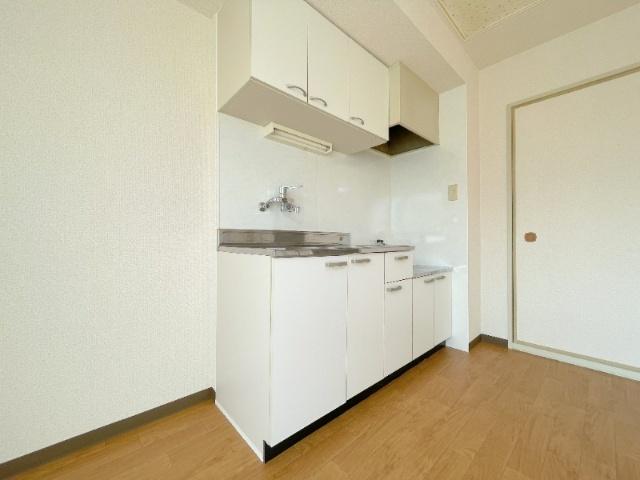 ハシモトロイヤル山の手（302） キッチン