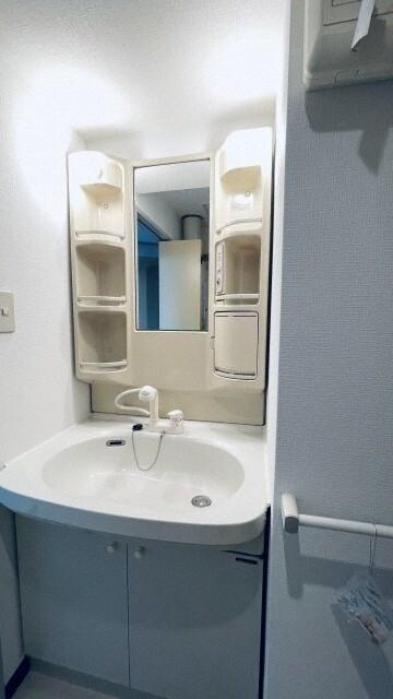 パシフィック元町パッセージ（307） 洗面