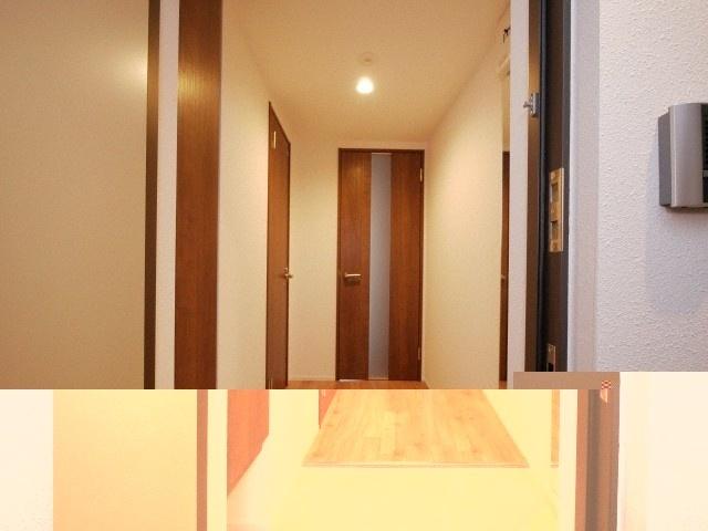 円山公園ビューアパートメント（403） 玄関