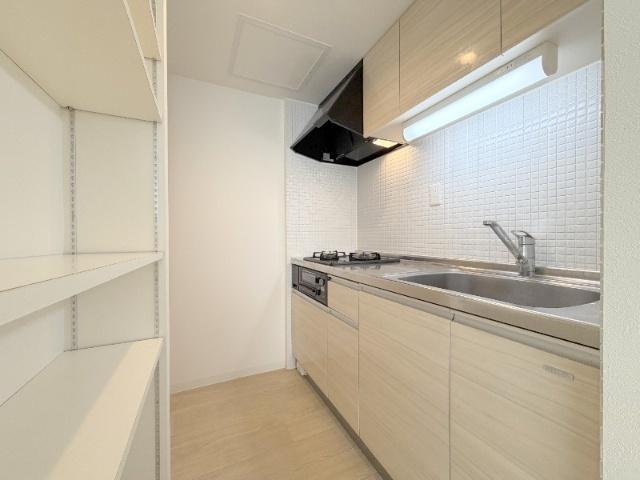 ＢＬＡＮＣ　ＣＡＳＳＥ　Ｎ１１(ブランカッセＮ１１)（102） キッチン