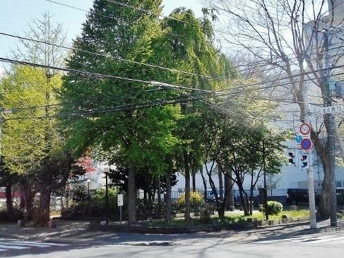 宮部記念緑地：354m