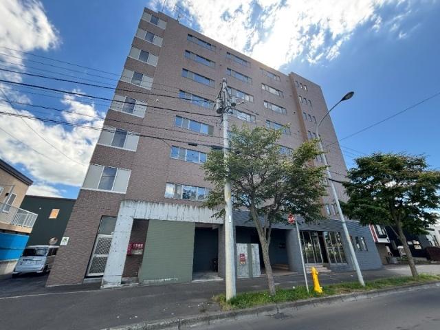 テラセル４８（305） その他