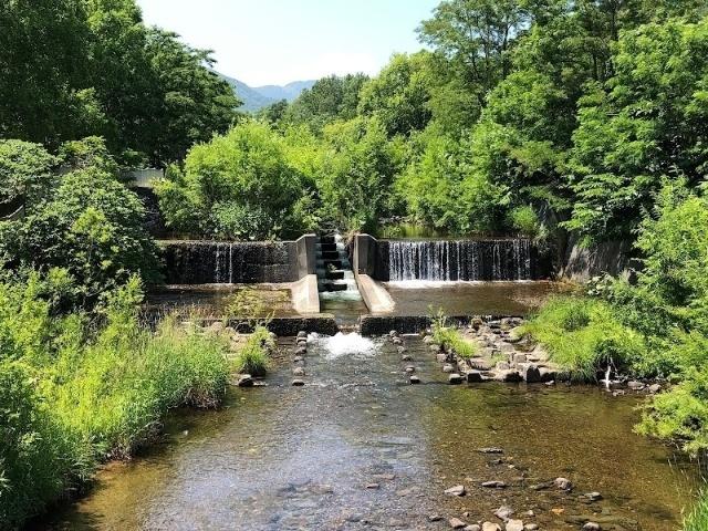 平和渓流公園：104m