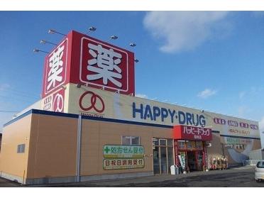 ハッピードラッグ田向店：1500m