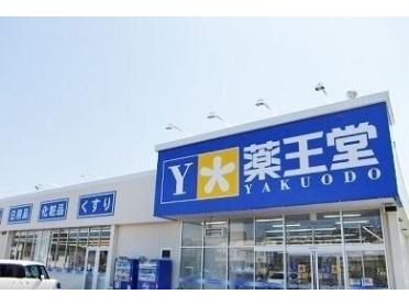 薬王堂八戸ニュータウン店：800m