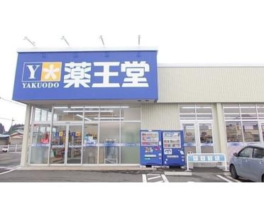 薬王堂八戸河原木店：300m