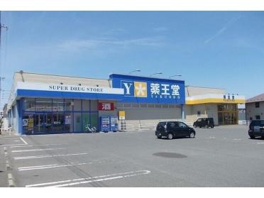 薬王堂八戸田向店：1100m