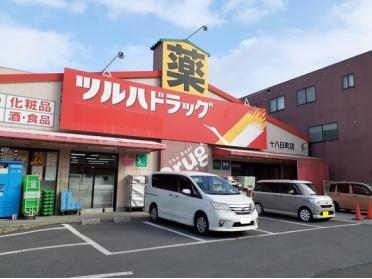 ツルハドラック十八日町店：250m