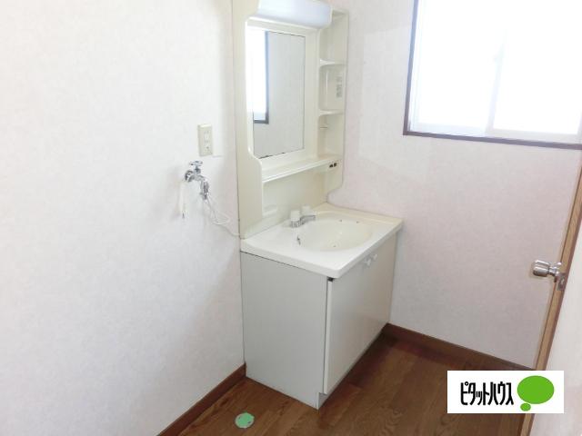 レッドハイム（A101） 洗面