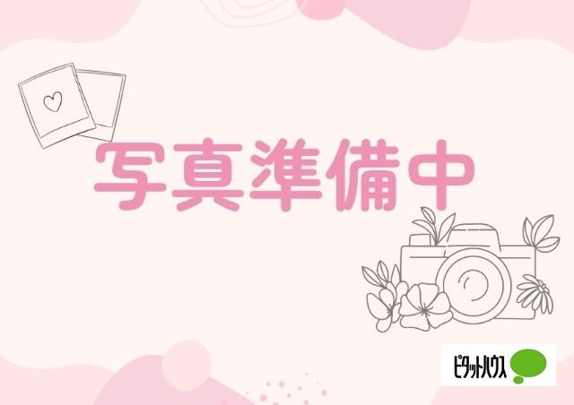 エンゼルハイム（F） バルコニー