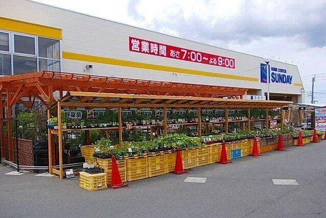 サンデー：650m