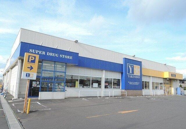 薬王堂八戸新井田店：800m
