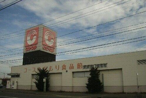コープあおもりるいけ店：300m