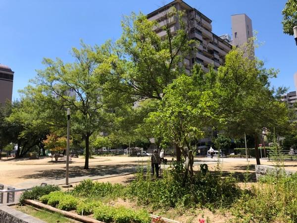 公園