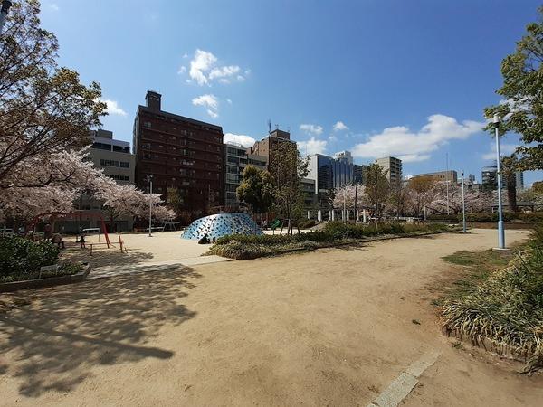 中大江公園：59m