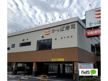 かっぱ寿司境川店：268m