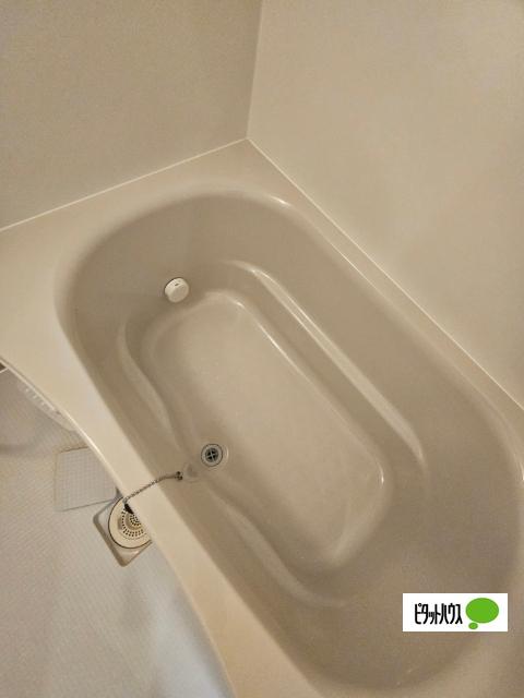 ジーグランデ九条 部屋画像