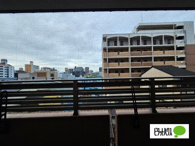 エル・セレーノ九条 部屋画像