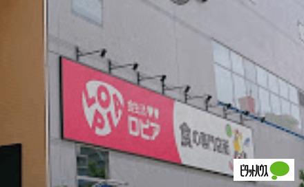 ロピア大阪ベイタワー店：505m
