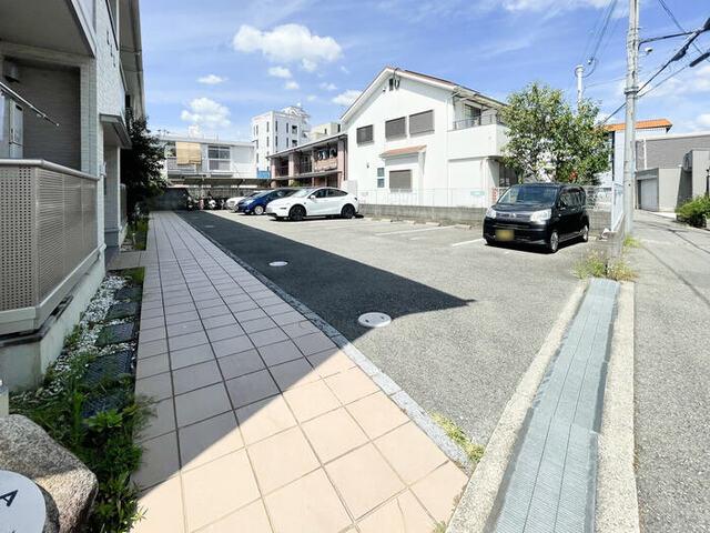 カメリア（202） その他