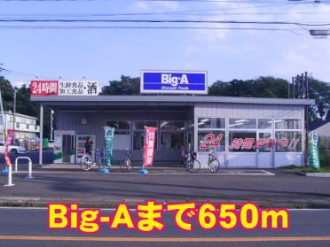 Big-A：650m