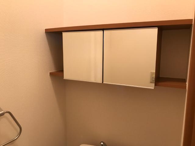 スカイグリーン 部屋画像