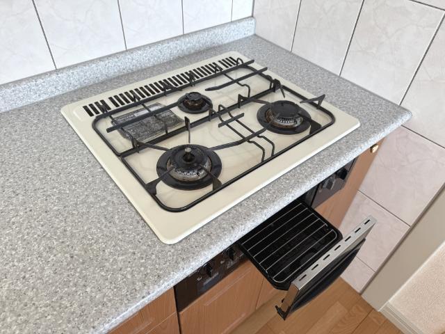 シティルミナスⅡ 部屋画像