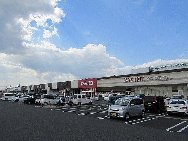 ライフガーデン茂原店：700m