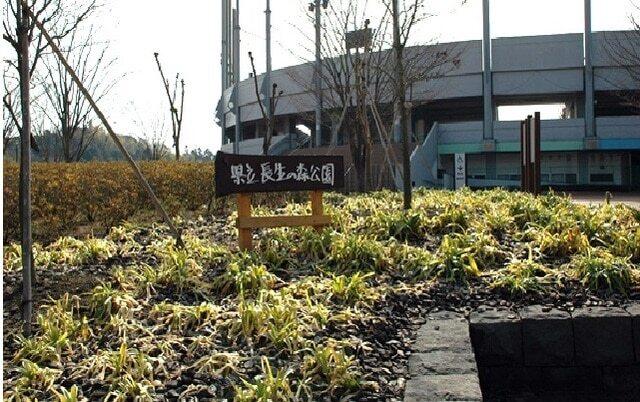 県立長生の森公園：2600m