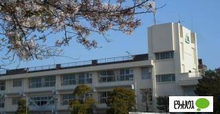 茂原市立茂原小学校：338m