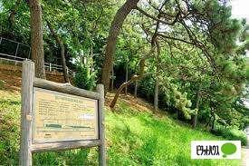 登戸緑地：207m