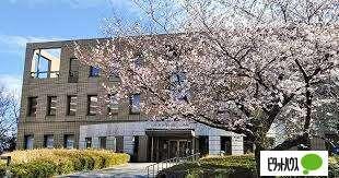 千葉大学附属図書館亥鼻分館：1114m